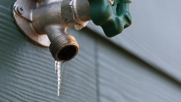 Best Clogged Drain Plumber  in Carnegie, PA