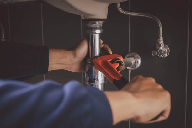 Best Plumbing Inspection Services  in Carnegie, PA
